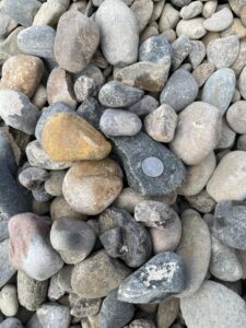 Large_snakeriver_rounds1